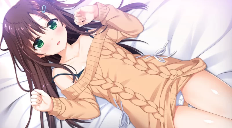 【拔作ADV/官中/步兵/骨科/后宫/PC】哥哥，早起前要一直抱… [1+4.76G][百度盘]