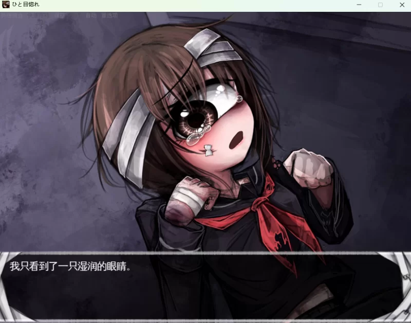PC/中文/gal/全年龄/一目钟情ひと目惚れ [1+330m][百度盘]