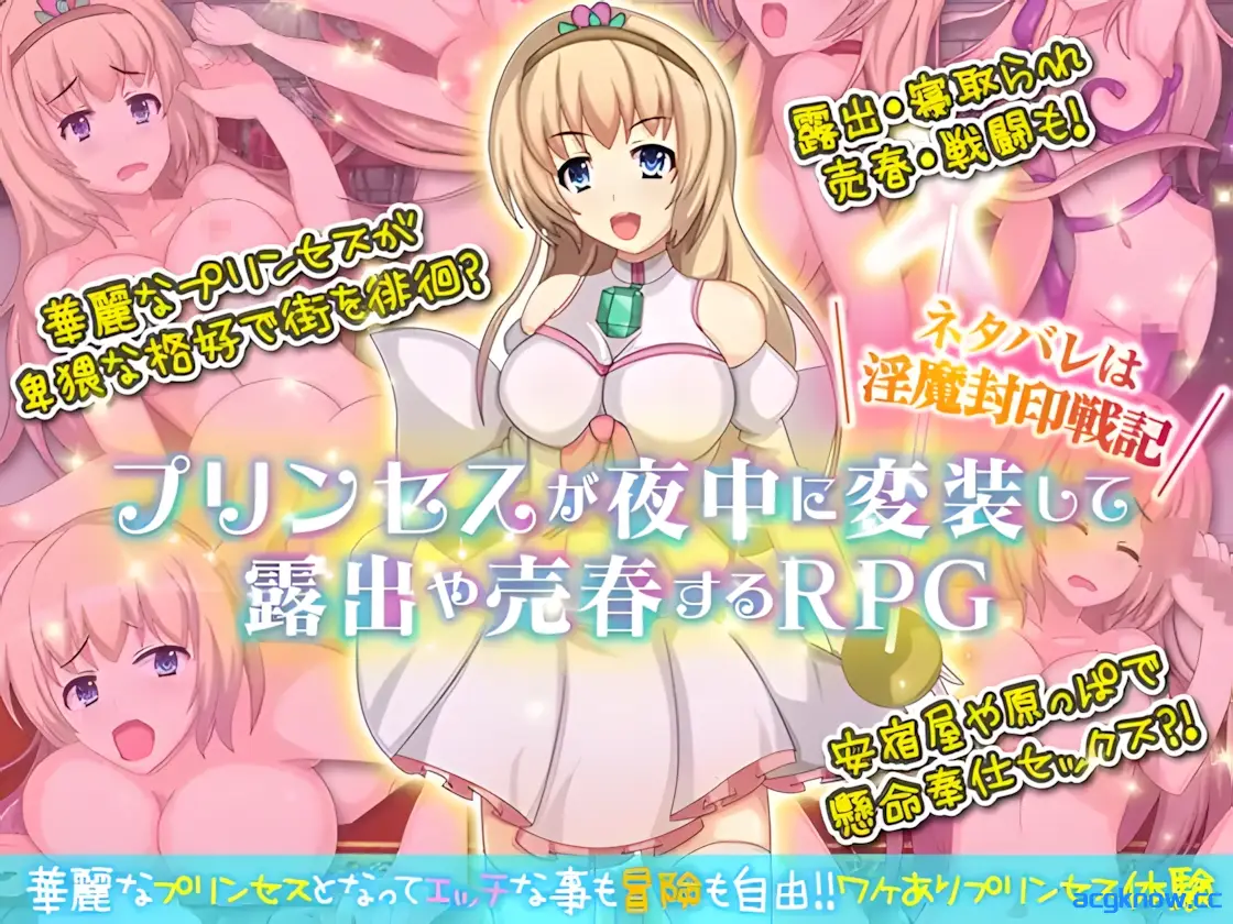 [PC+安卓joi][RPG/精翻/露出]公主卖春奋斗记 精翻汉化版[120M]