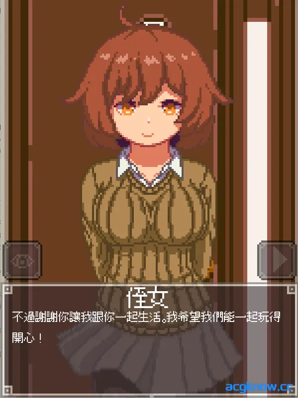 [PC][SLG/官中/像素/睡奸] 夜间的故事 Night Adventure 官方中文版 [100M]