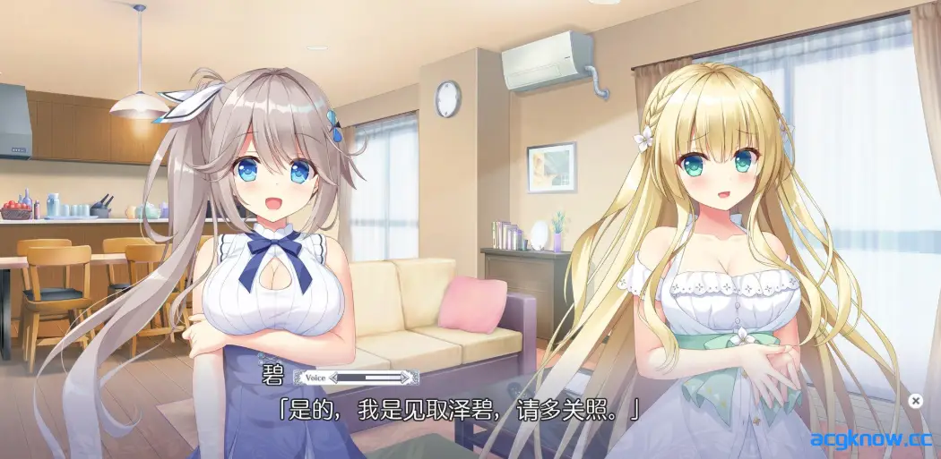 [PC][大型ADV/精翻/CV]梦幻的提尔纳诺 精翻汉化版+全CG存档[5.1G]