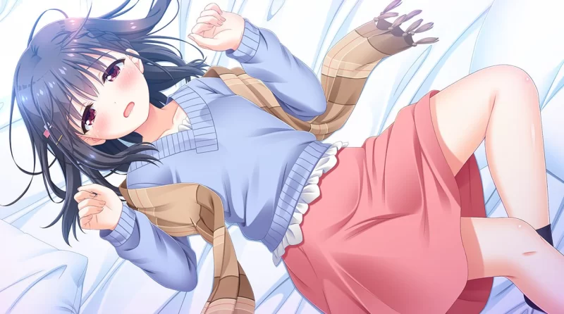 【拔作ADV/官中/步兵/骨科/后宫/PC】哥哥，早起前要一直抱… [1+4.76G][百度盘]