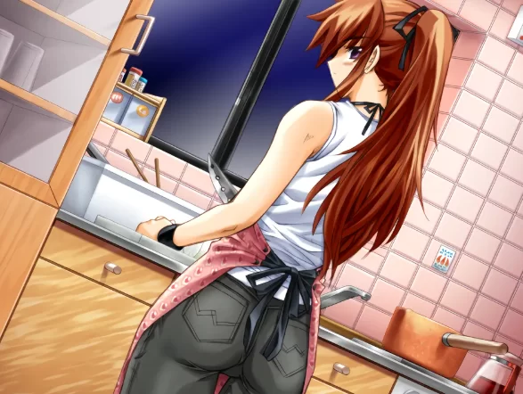[PC-ADV] [ADV/官方中文] 邪夜将至 重制版v1.01官中汉化(夜が来… [1+1.47G][百度盘]