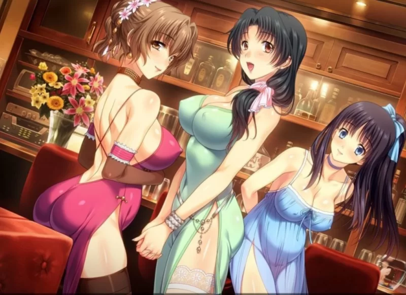 PC[日式ADV]妻中蜜3v0.801润色汉化版+攻略+存档 [1+2.3g][百度盘]