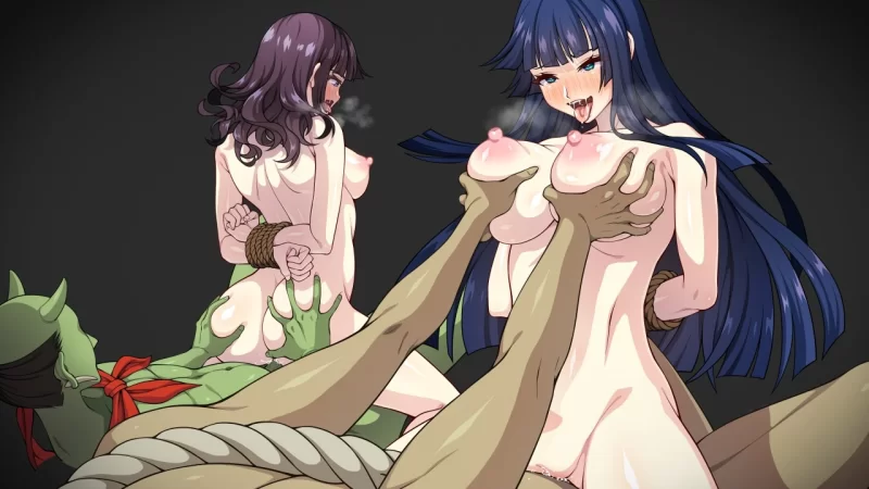 【日式RPG/新作/PC/安卓joi/续作】达人退魔师才不会屈服于触手妖魔！ [2+5.6G][百度盘]