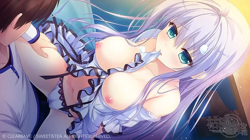 PC-ADV 9月新作 纯爱 永不枯萎的世界与终焉之花V1.0a STEAM官中 [1+5.1G][百度盘]
