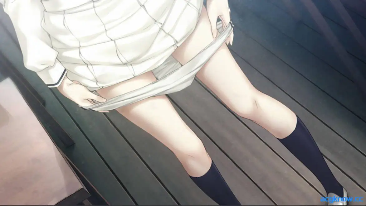 [PC][神作/悬疑/ADV/官中]虚之少女 虚ノ少女 The Shell Part II 官方中文HD重置版[5.33G]