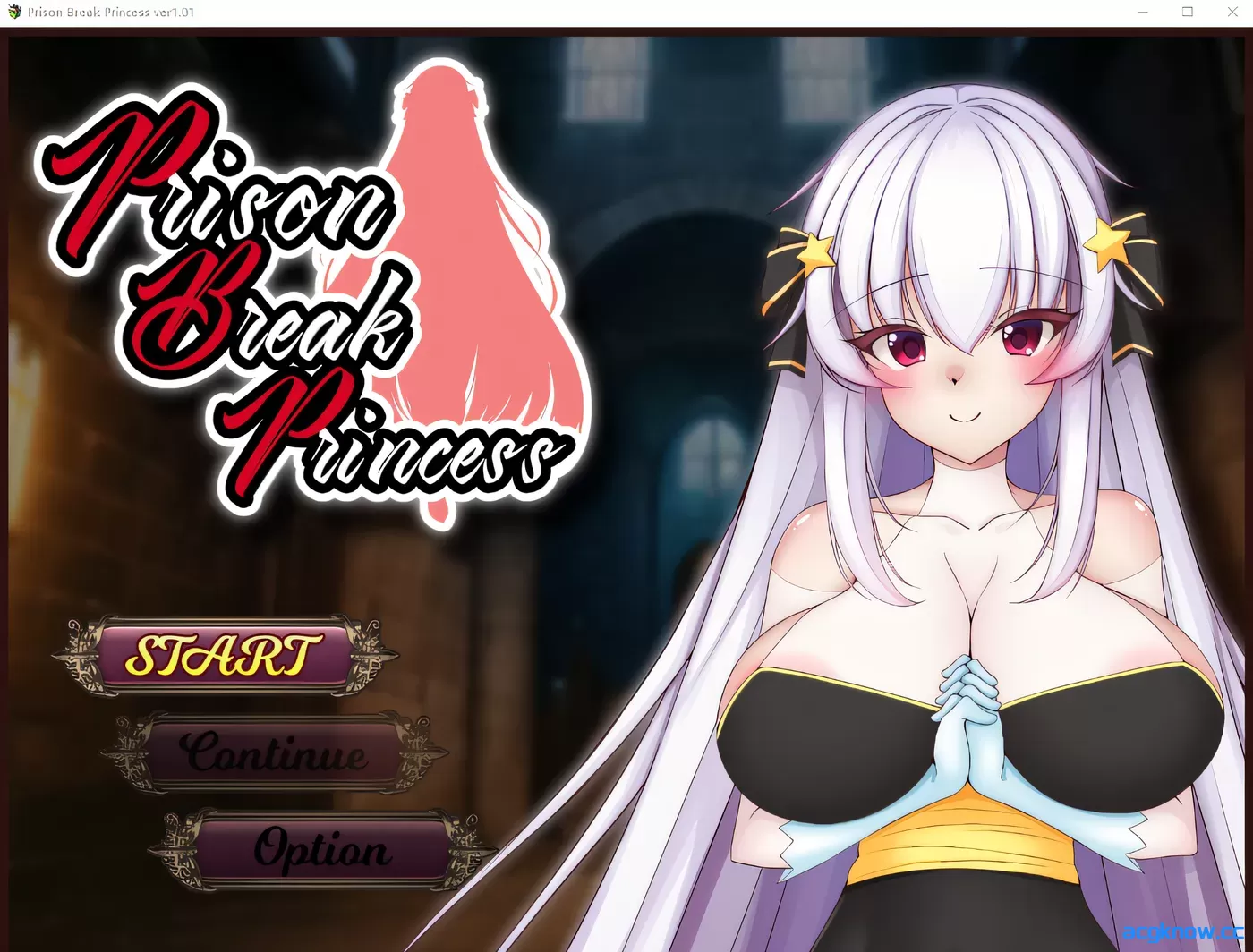 [PC][爆款日系RPG/官中]越狱公主 Prison Break Princess Ver1.01 官方中文版 [823M]