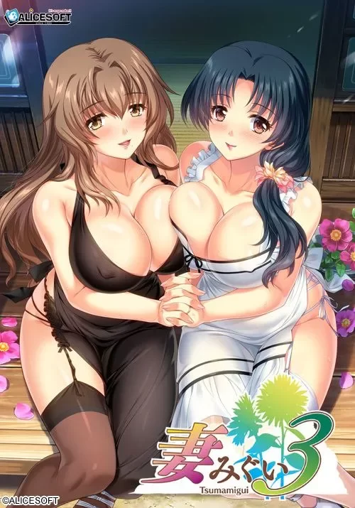[PC/经典拔作/可牛可纯/后宫/神作/全CV/精修汉化]妻中蜜３ [1+2.25G][百度盘]