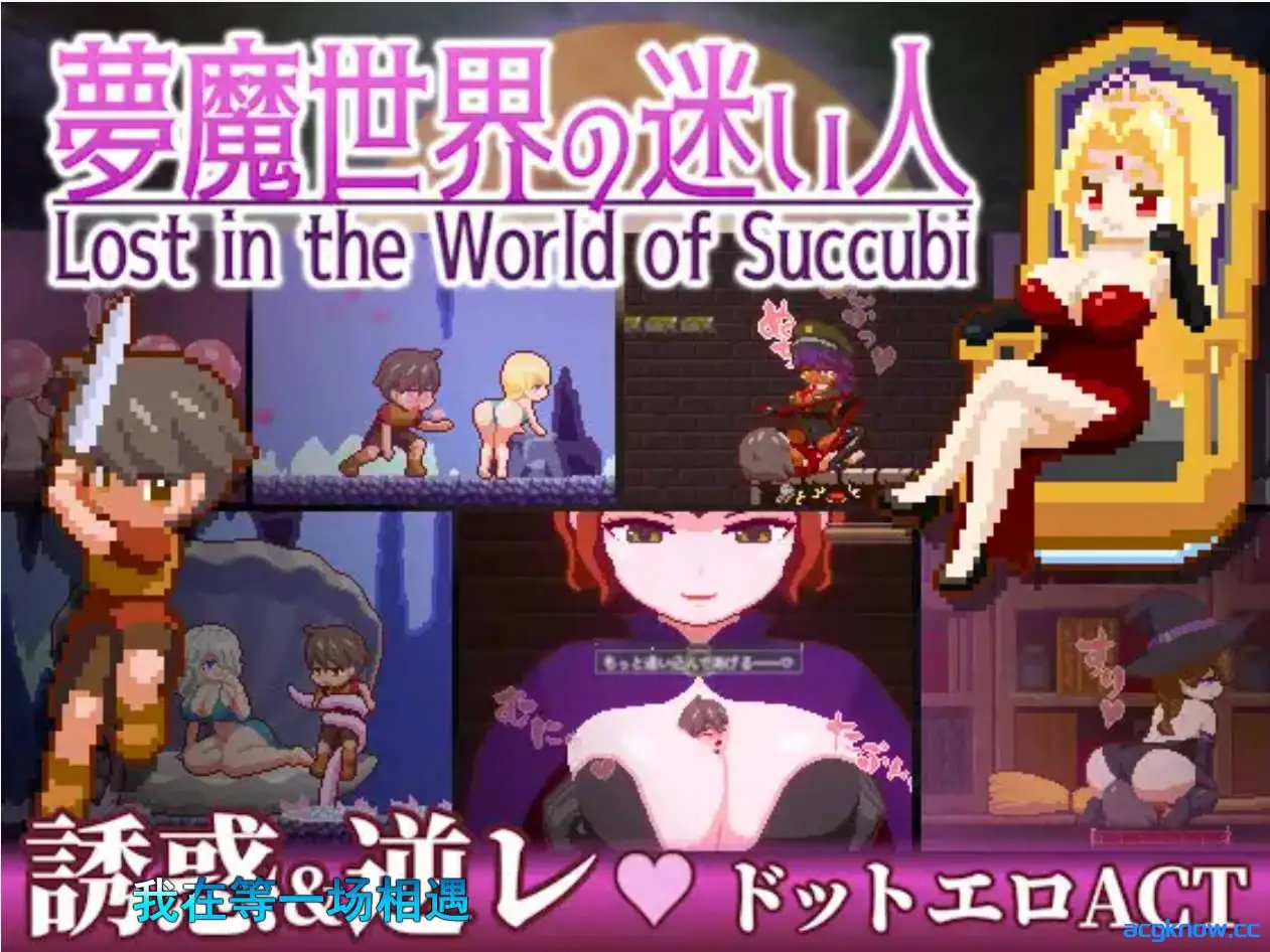 [PC+安卓] [ACT/像素/官中] 梦魔世界的迷失者 Ver1.01+全CG [1.22G]