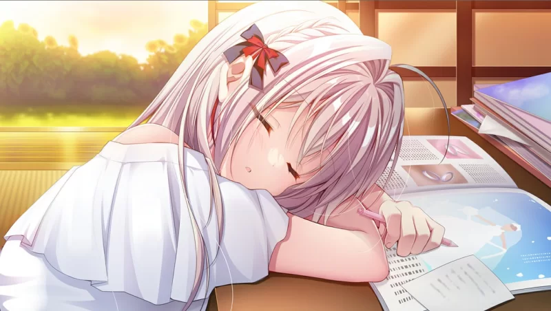 【新作精品ADV AI汉化PC CV存档】流星 FDv1.1 [1+1.7G][百度盘]