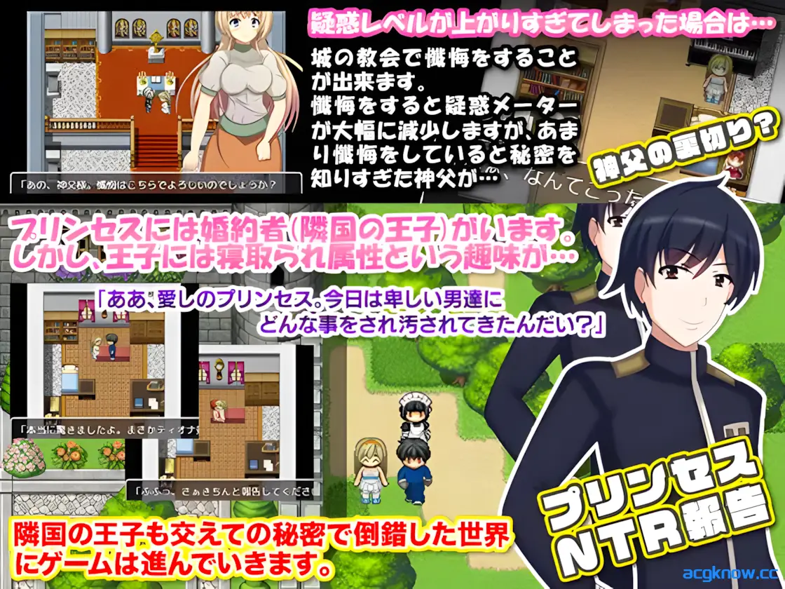 [PC+安卓joi][RPG/精翻/露出]公主卖春奋斗记 精翻汉化版[120M]