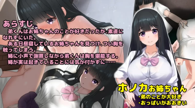 [PC触摸SLG]希望被弟袭击的姐姐1.04步兵完全生肉版 [1+745m][百度盘]
