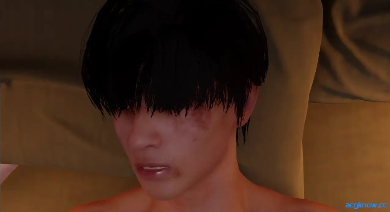 [PC][欧美SLG大作/官中/动态]性爱方程式 セックス方程式 Ver1.4.0 官方中文无修版[15.5G]