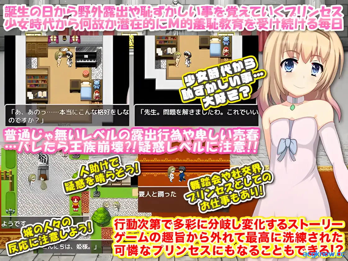 [PC+安卓joi][RPG/精翻/露出]公主卖春奋斗记 精翻汉化版[120M]