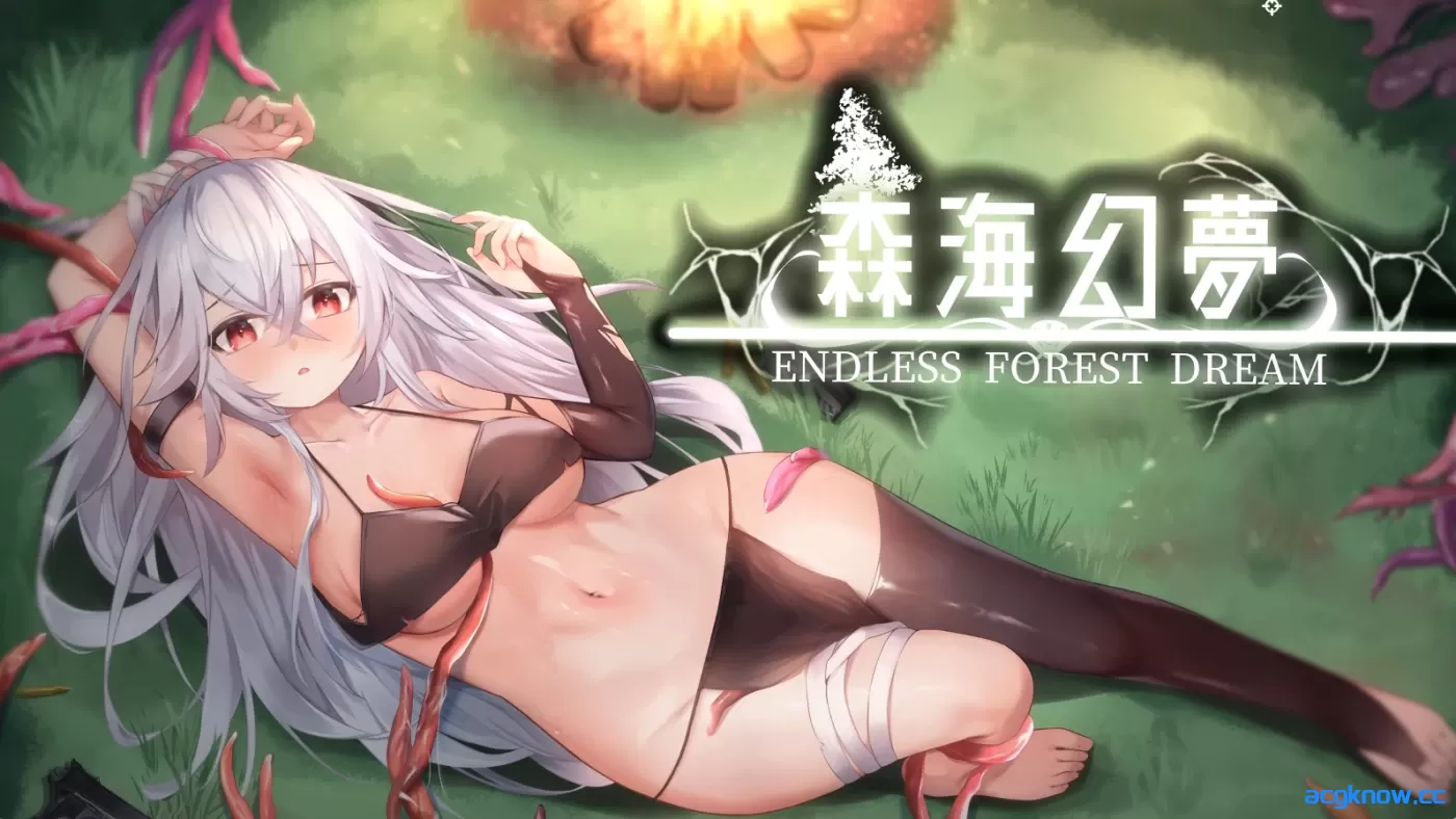 [PC][ACT/中文/动态]森海幻梦 Ver1.12 Steam官方中文版 [975M]