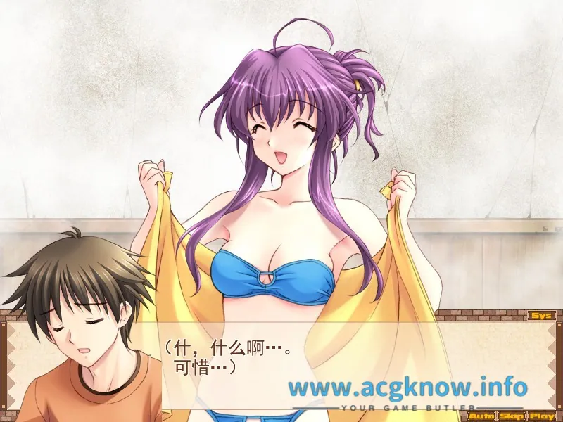 [合集] 【佳作SLG/ADV汉化】妻中蜜1-3 全系列完整汉化版+全CG档+1-3全动画【整合/NTR大作/7.2G】