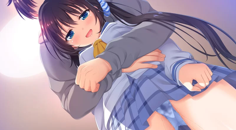 【拔作ADV/官中/步兵/骨科/后宫/PC】哥哥，早起前要一直抱… [1+4.76G][百度盘]