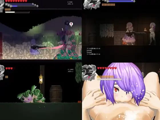 【ACT/汉化/动态/PC】塞塔利亚魔镜 セタリアの魔境 v1.21 [1+140M][百度盘]
