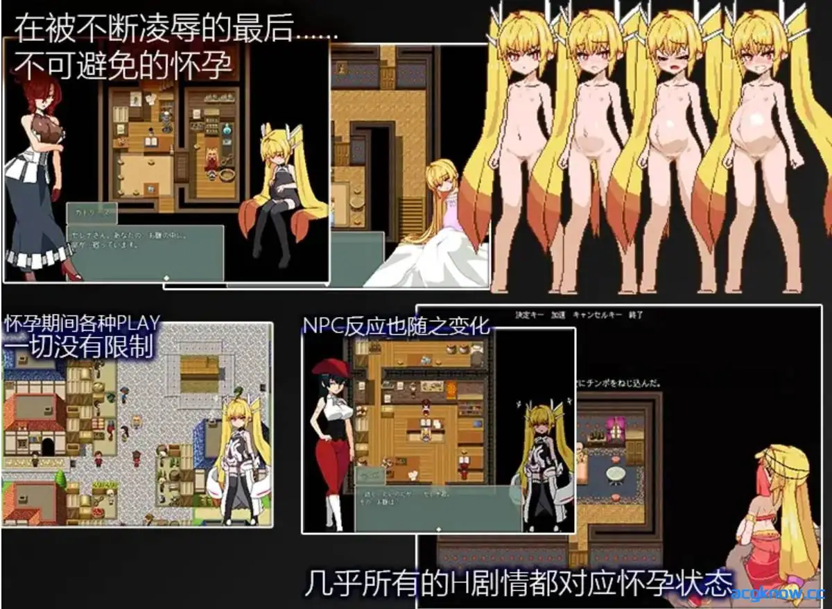 [PC+安卓joi] [RPG/官中/动态] Violated Princess Ver1.06.3 社团翻译版 [909M]