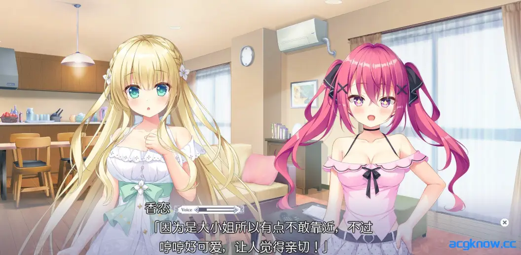[PC][大型ADV/精翻/CV]梦幻的提尔纳诺 精翻汉化版+全CG存档[5.1G]