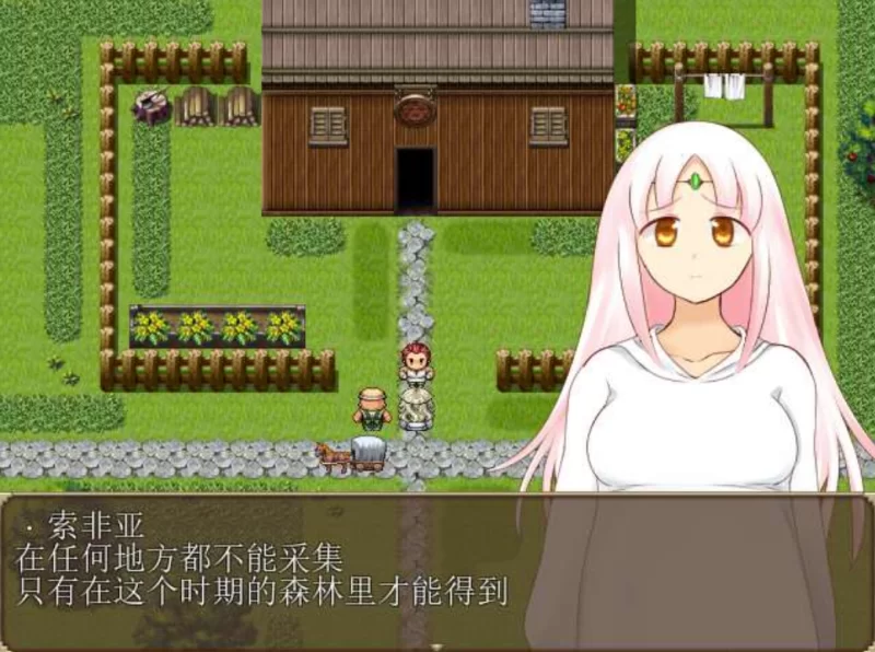 [PC-RPG]妖精奇迹般的幻想精翻汉化完结版+CG包+存档 [1+772m][百度盘]