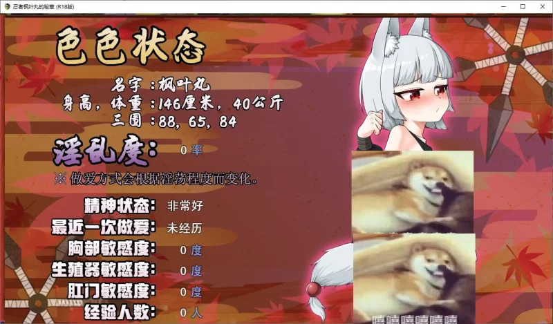 【日式ARPG】pc忍者枫叶丸的秘章 官中步兵版 790M [1p+790M][百度盘]