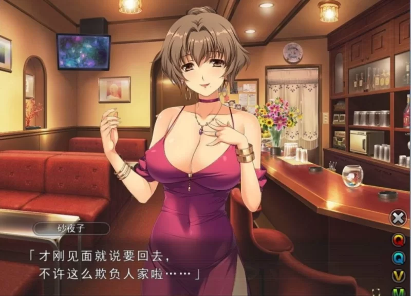PC[日式ADV]妻中蜜3v0.801润色汉化版+攻略+存档 [1+2.3g][百度盘]