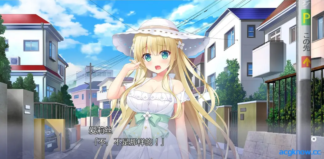 [PC][大型ADV/精翻/CV]梦幻的提尔纳诺 精翻汉化版+全CG存档[5.1G]