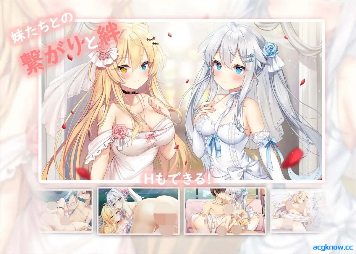 [PC][日系SLG大作/官中/动态]妹妹连结：想要传达的爱恋 Ver1.07 官方中文版+全CG存档[7.35G]