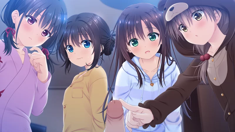 [PC]哥哥，早起前要一直抱紧我哦！【St官中+步兵+全CG存档） [1+4.8G][百度盘]