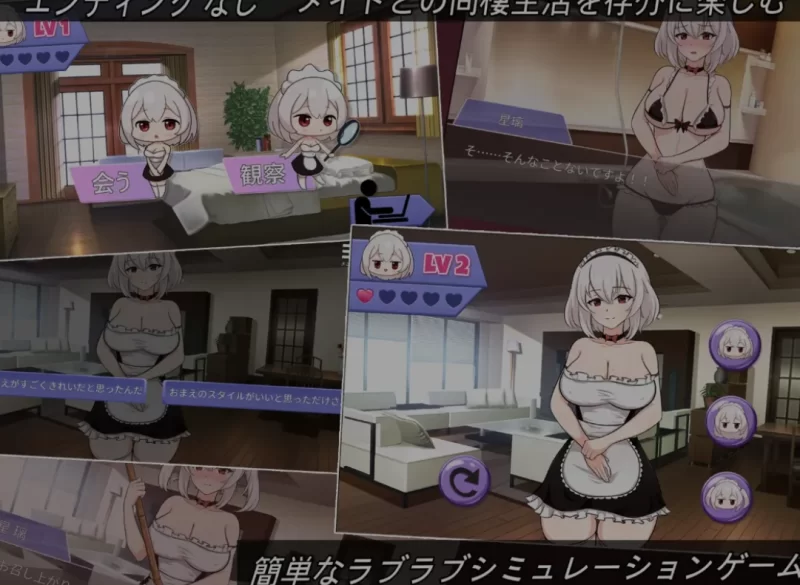 [PC/互动SLG/中文/步兵全动态] 主人专用的X处理皇家女仆 [1+200M][百度盘]