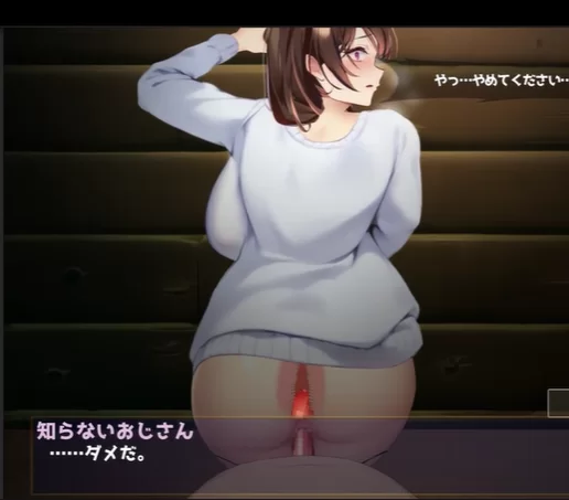 [PC/RPG/人妻/NTR/中出/怀孕/巨乳/AI作画]来道具店做吧！/ア… [1+730M][百度盘]
