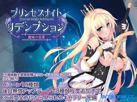 [PC][ACT/官中动态CV]公主骑士救赎 魔城的灵药 官方中文版 [924M]