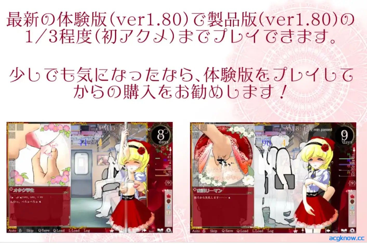 [PC] [SLG/官中/战斗H]花之公主·艾露露（触摸调教篇・动画追加版） Ver3.03 官方中文版 [544M]