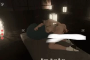 PC  失落的女忍者 官方中文-v0.1.0 Patreon赞助版 [1+1G][百度盘]