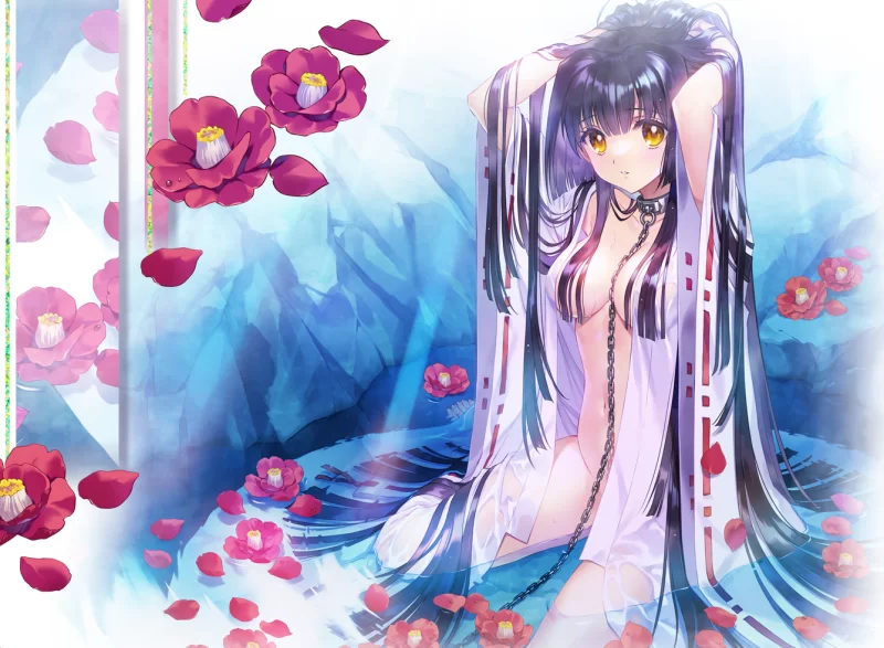 [PC/ai汉化/全cg] 无颜之月-待宵双椿- 顔のない月-待宵の双椿 [2+2g][百度盘]