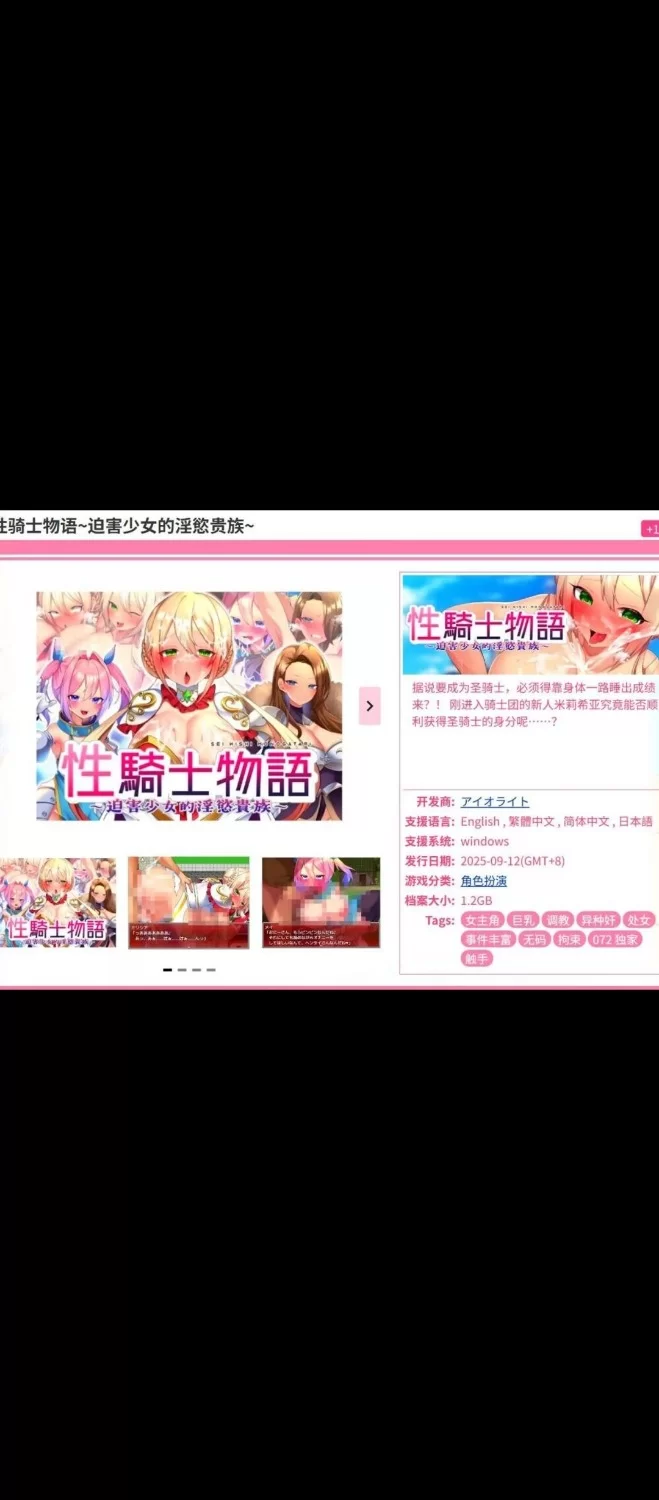 pc【RPG/中文/无码】性骑士物语~迫害少女的淫慾贵族~ [1+800m][百度盘]