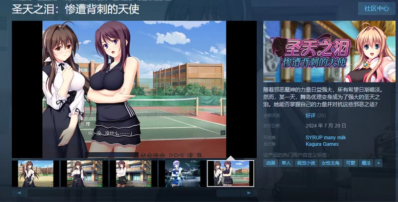 【拔作ADV/淫虐多P/官中】圣天之泪：惨遭背刺的V1.0 STEAM官中 [1+8G][百度盘]
