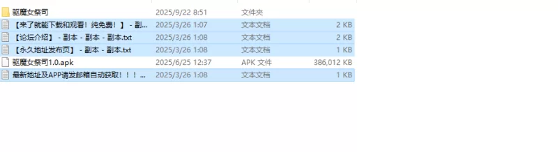 【探索RPG/羞辱淫乱/汉化】驱魔女祭司V1.0 内嵌AI汉化 [1+1G][百度盘]