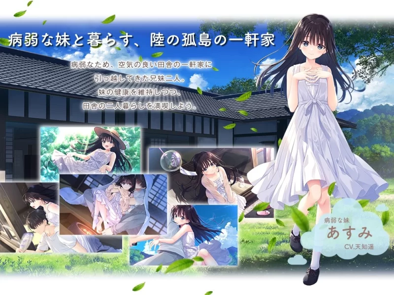 【RPG/中文/PC】痴情哥哥与病弱妹妹的乡间生活+存档 [1+2.9G][百度盘]