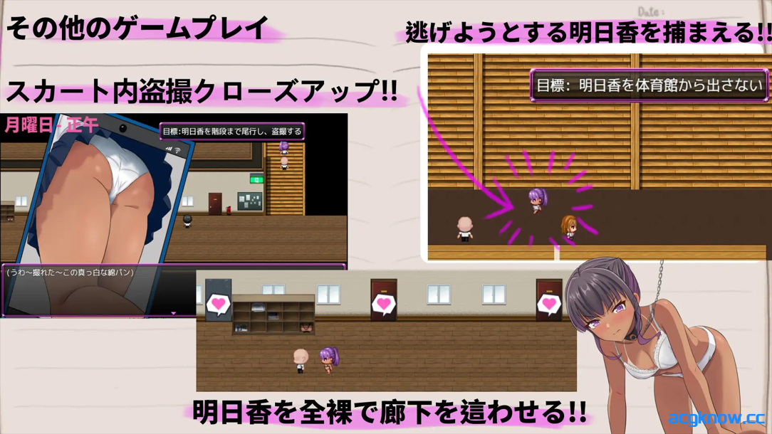 [PC+安卓joi][日系RPG/官中/NTR]明日香调教日记～以爱为名的胁迫～ 官方中文版[959M]