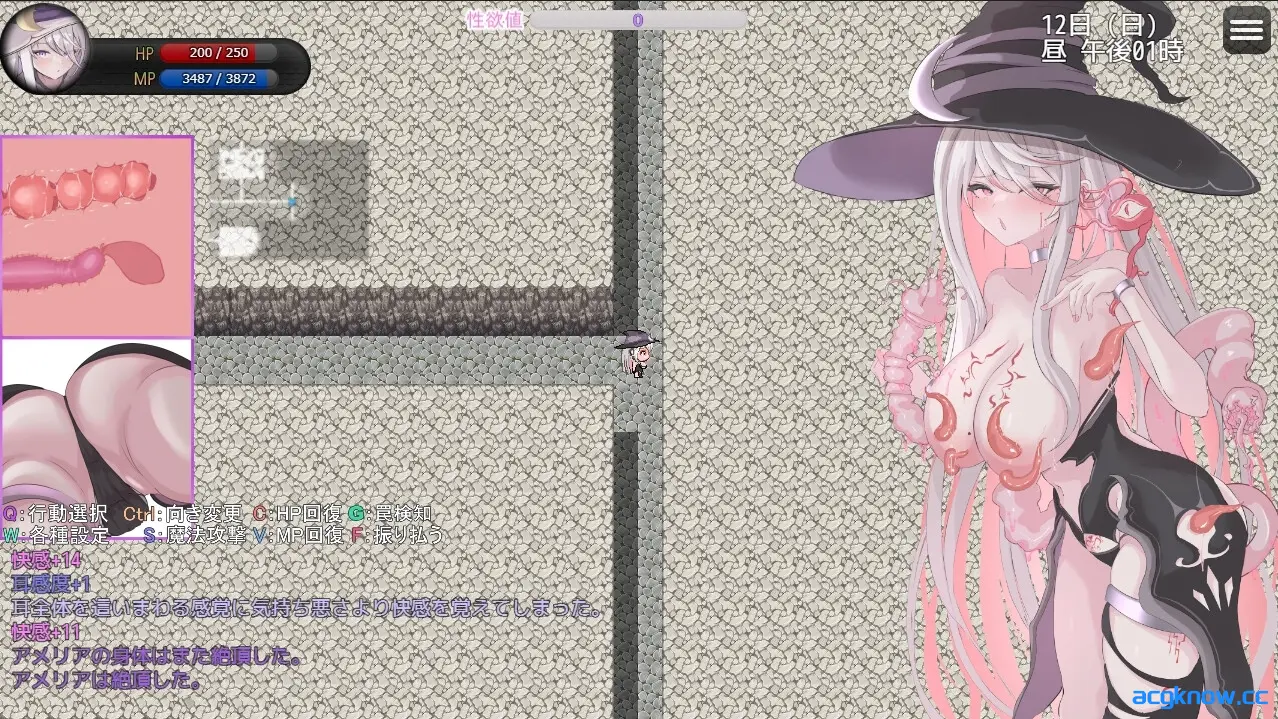 [PC][爆款RPG/官中/异种奸] 阿梅莉亚与触手情色陷阱迷宫 Ver1.18 官方AI汉化版 [1.65G]