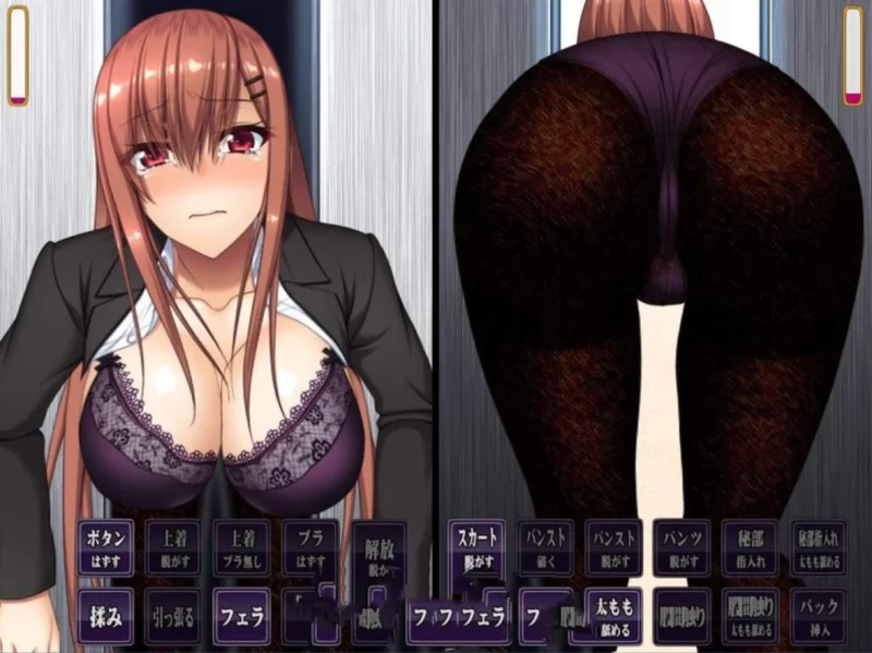[PC-SLG]黑丝巨汝OL姐姐居然被卡在电梯里面了 [1+830m][百度盘]