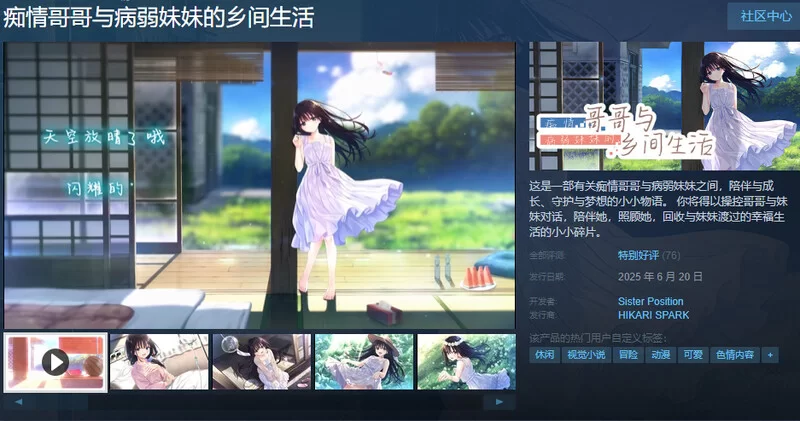 【爆款SLG/日常生活/官中】痴情哥哥与病弱妹妹V1.0 STEAM官… [1+3.30G][百度盘]