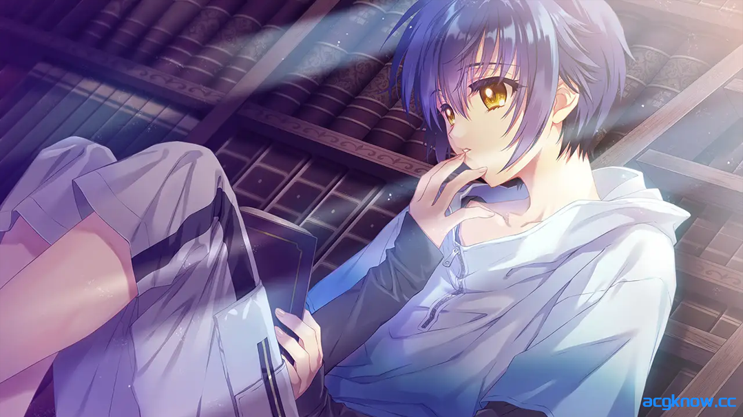 [PC] [日系启蒙ADV大作/汉化/巫女]无颜之月-待宵双椿 顔のない月-待宵の双椿- AI汉化内嵌版 [2G/CV]
