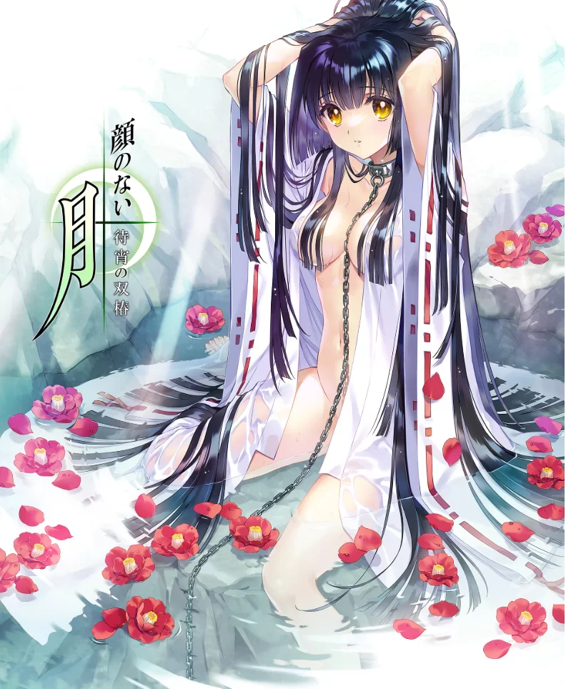 [PC精品ADV]无颜之月待宵双椿汉化版 [1+2g][百度盘]