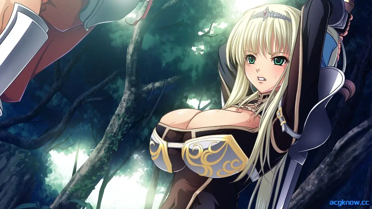 [PC][拔作ADV/精翻/全CV]巨乳幻想外传2 巨乳ファンタジー外伝2 精翻汉化步兵版+全CG存档[3.23G]