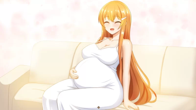 [PC/佳作/全CG/洗脑/NTR/恶堕换装/阿黑颜/官中无修] 染色的纯白 [1+672M][百度盘]