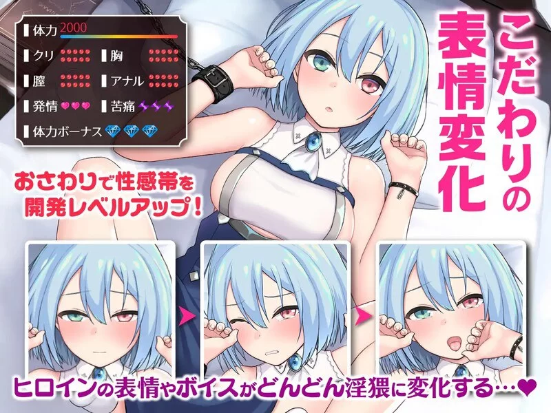[PC-SLG] [SLG/官方中文] 帝国后宫 Ver1.31官中汉化(ImperialHarem)[… [1+3.04G][百度盘]